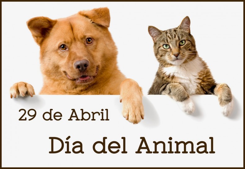 29 de Abril: Día del animal en Argentina
