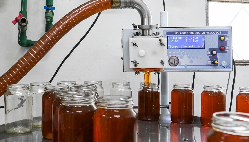 En el Día Mundial de la Abeja, Argentina celebra con un dulce récord exportador de miel