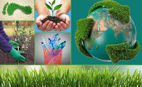 5 de Junio: Día Mundial del Medio Ambiente