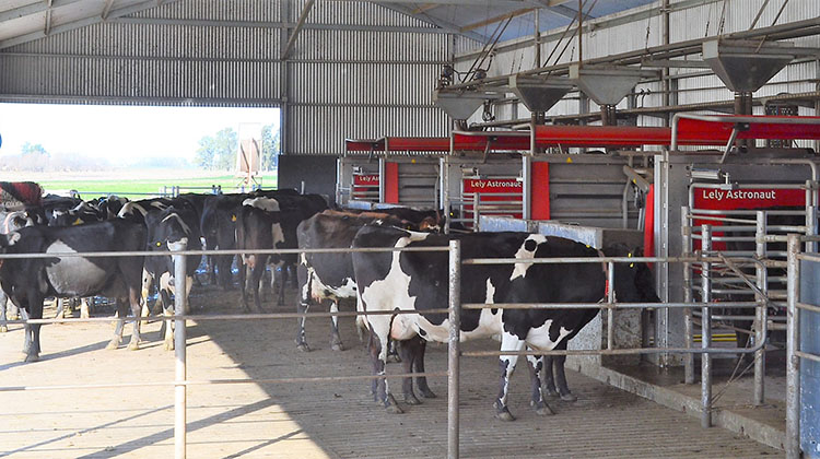 La familia Mulcahy, un ejemplo de innovación en la producción lechera